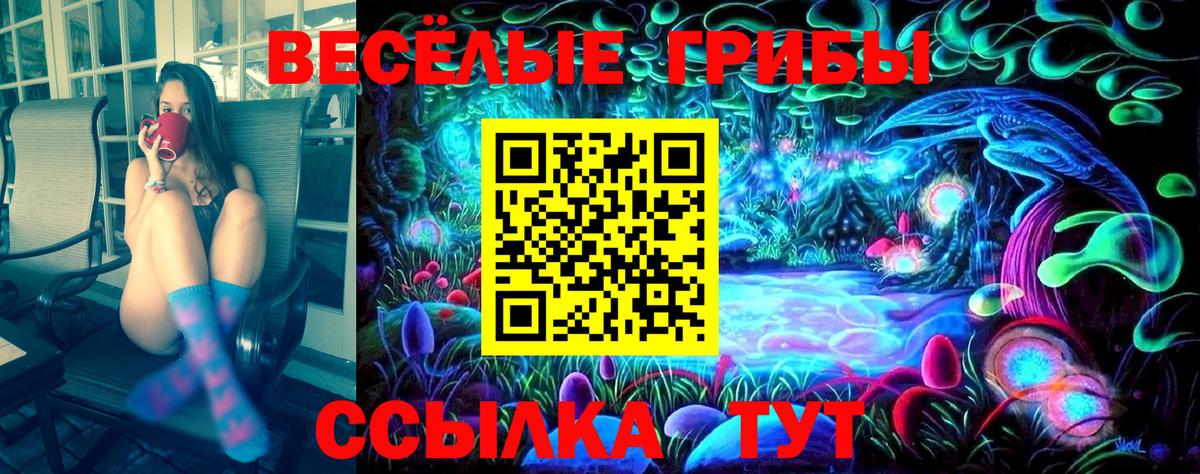Псилоцибиновые грибы Psilocybe Орехово-Зуево