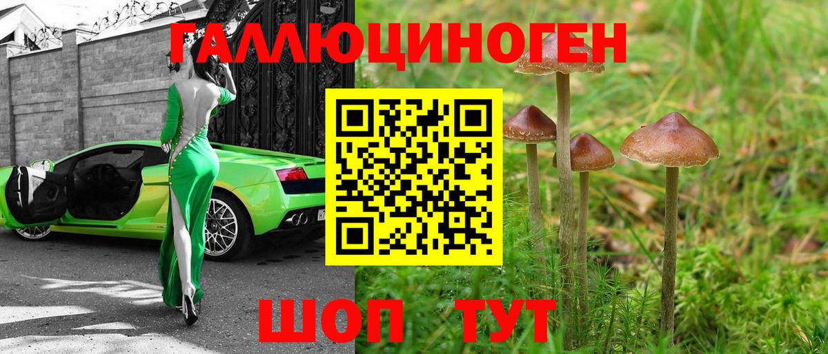 Псилоцибиновые грибы GOLDEN TEACHER  купить закладку  Орехово-Зуево  Вход с VPN 